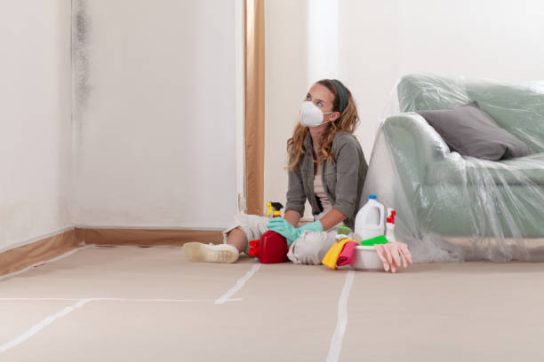 Reliable Mold Cleanup contractor in Gettysburg, PA by Cheap Mold Removal